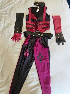 Harley Quinn Costume - “Batman - Arkham City” Authentic Costume